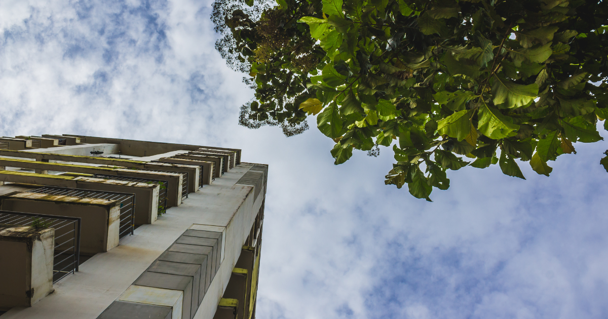 Sustainability in Real Estate: How Mi Vida Builds for the Future