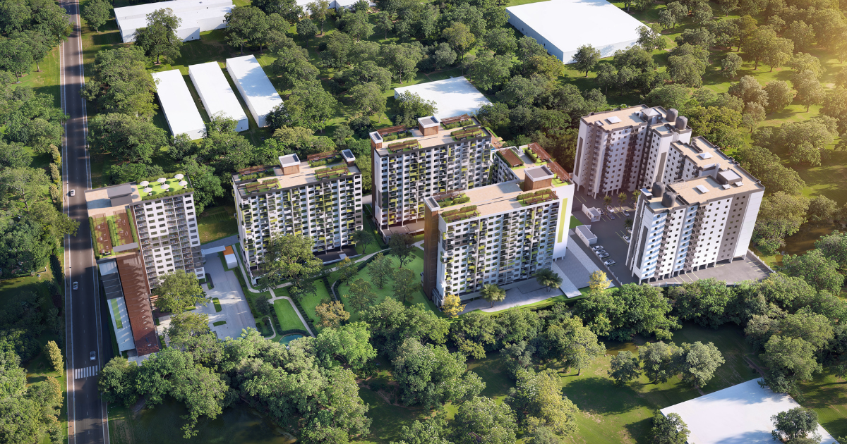 Why Green Spaces Improve Quality of Life in KEZA