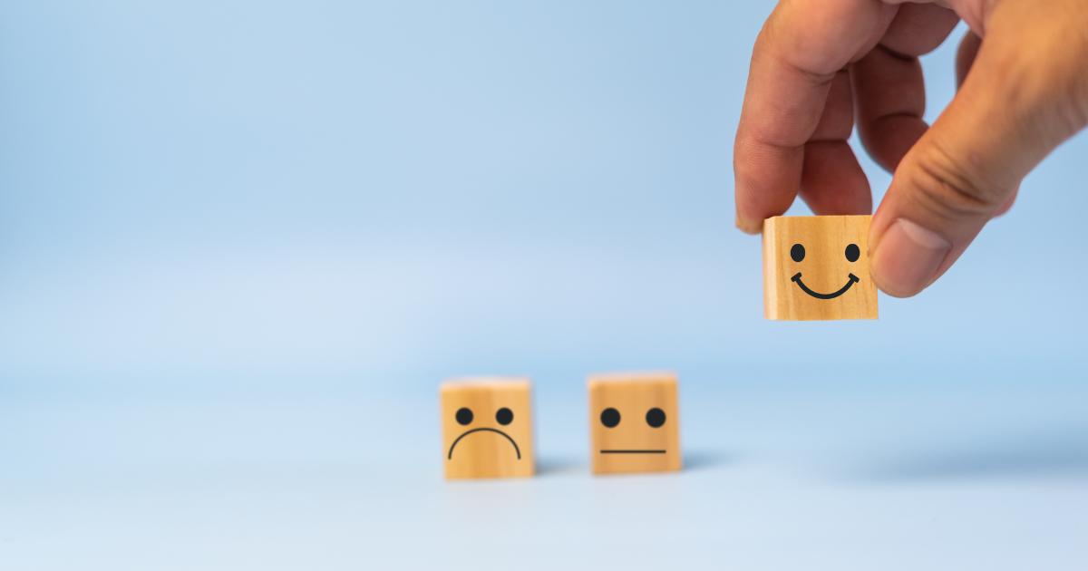 How Client Feedback Shapes the Evolution of Mi Vida Properties