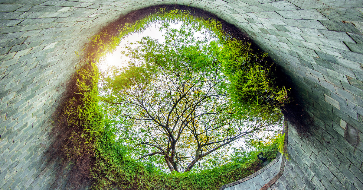 Building for the Future: How Mi Vida Homes Is Setting New Green Standards in Kenyan Real Estate